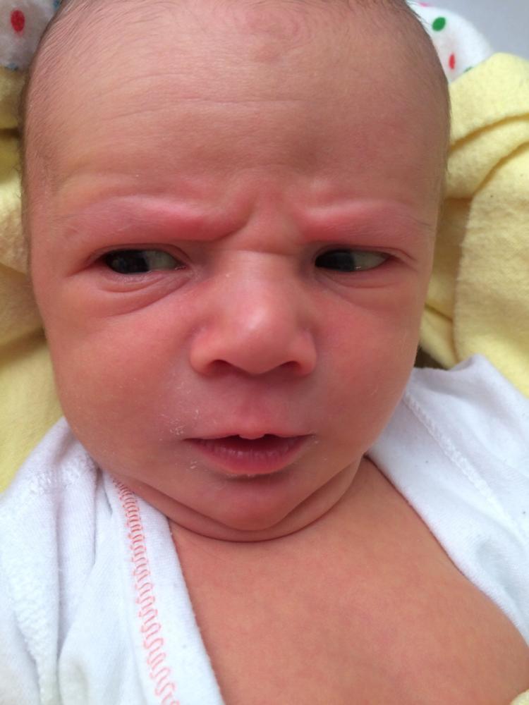 15 hilarious photos of